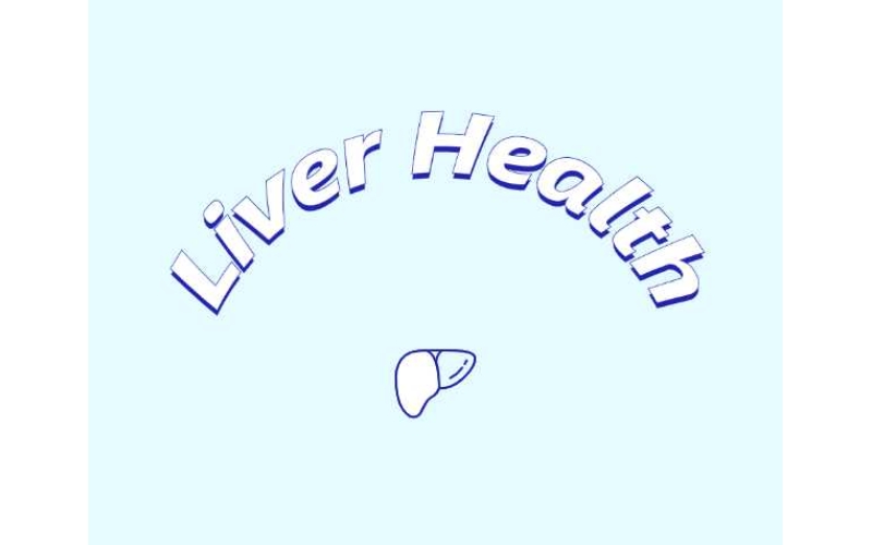 哪些原料可助力肝臟健康？